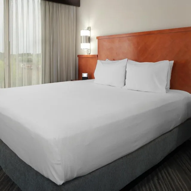 Specialty, King Bed, Sofa، Hyatt Place Detroit/Auburn Hills 1/2
