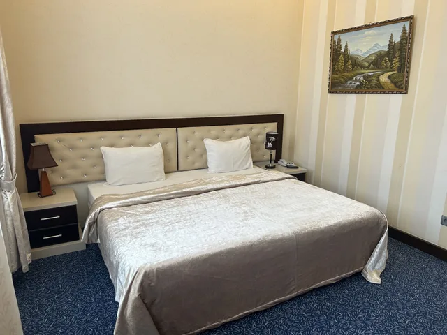 Standard, Single, King Bed, Aysberq Hotel 2/2