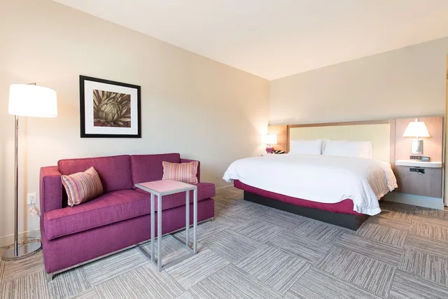 استوديو بسرير كينج مع أريكة لذوي الإعاقة، Hampton Inn & Suites Fayetteville 3/10