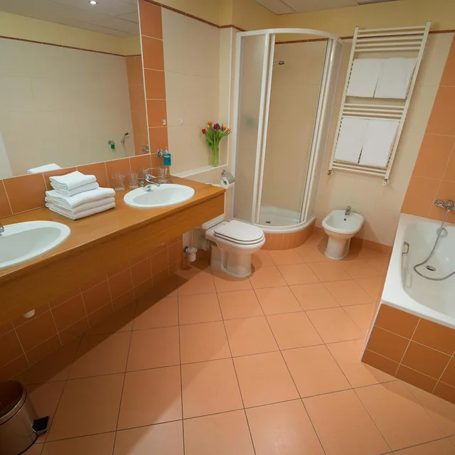 غرفة كومفورت عائلية، Hotel Grand Litava 9/10