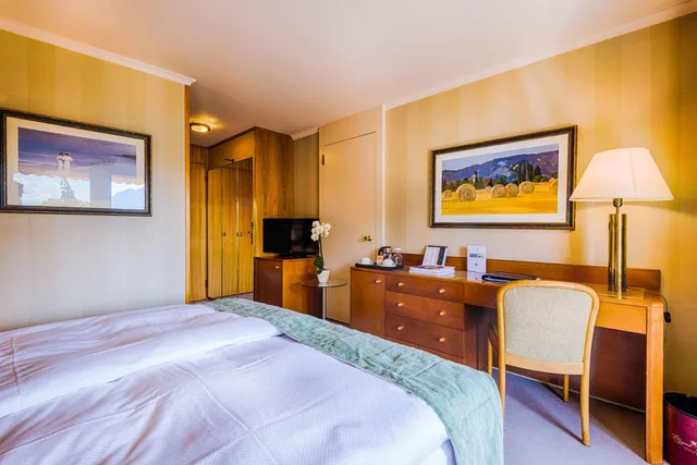 غرفة قياسية بسرير مزدوج، Royal Plaza Montreux Hotel 2/8