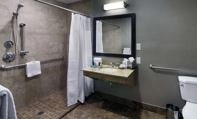 غرفة بسرير كوين لذوي الإعاقة، The Verve Hotel Boston Natick, Tapestry Collection by Hilton 5/7