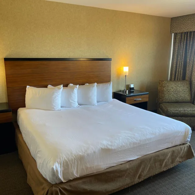 غرفة بسرير كينج بحوض استحمام لذوي الإعاقة، Quality Hotel Philadelphia Airport 1/4