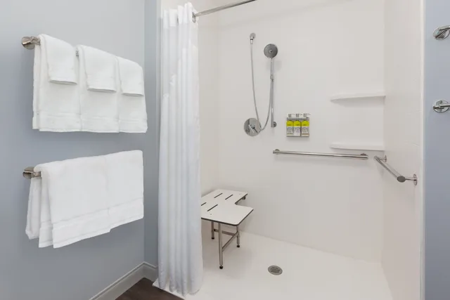 غرفة بسرير كينج لذوي الإعاقة، Holiday Inn Express And Suites Cedar Springs Grand Rapids North 2/2