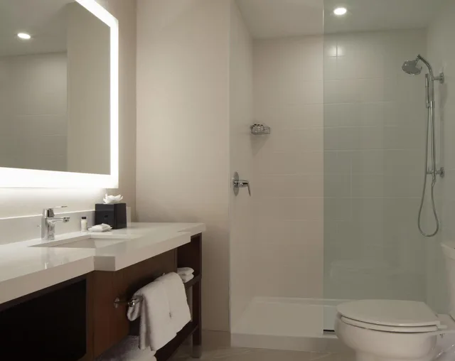 غرفة بسرير مزدوج لذوي الإعاقة، Delta Hotels by Marriott Dallas Southlake 2/4