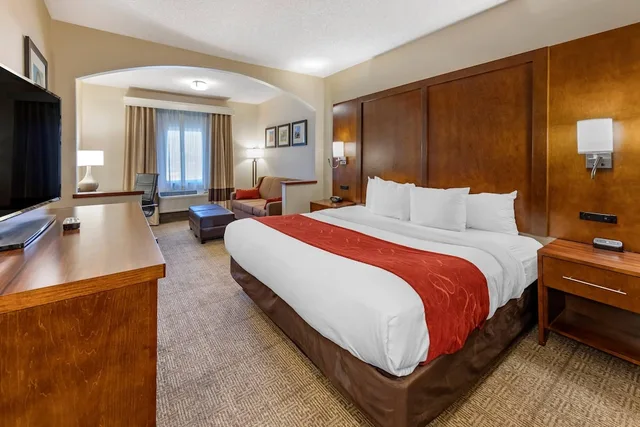 Studio, Suite, King Bed, Sofa, Comfort Suites Near Six Flags Magic Mountain 3/10