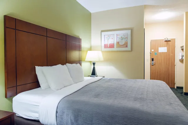 Room, King Bed, Smoking, Quality Inn & Suites Bloomington I-55 and I-74 6/6