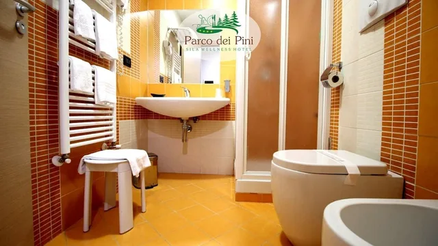 غرفة قياسية بسريرين منفصلين، Grand Hotel Parco Dei Pini 2/2