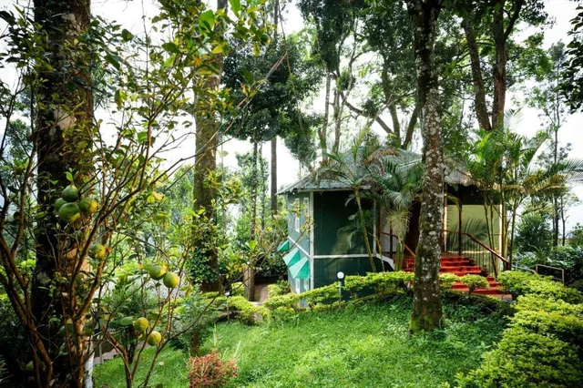 BLUE BELLS VALLEY RESORT، مونار 30/55