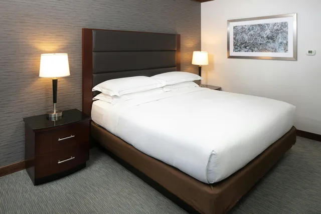 جناح بسرير كينج في طابق منخفض، Hilton Minneapolis Bloomington 1/2