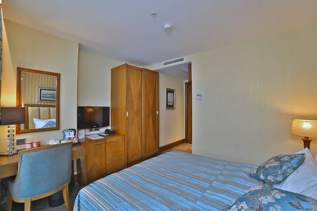 غرفة قياسية مفردة بسرير مزدوج، Adelmar Hotel Istanbul Sisli 3/4