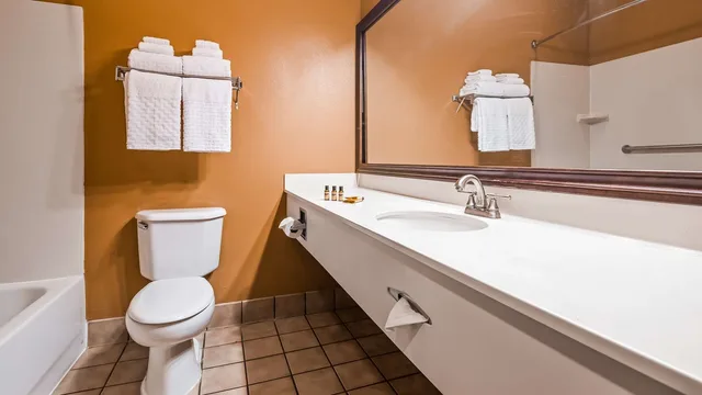 غرفة بسرير كينج بجاكوزي، Best Western Plus Brandywine Inn & Suites 2/2