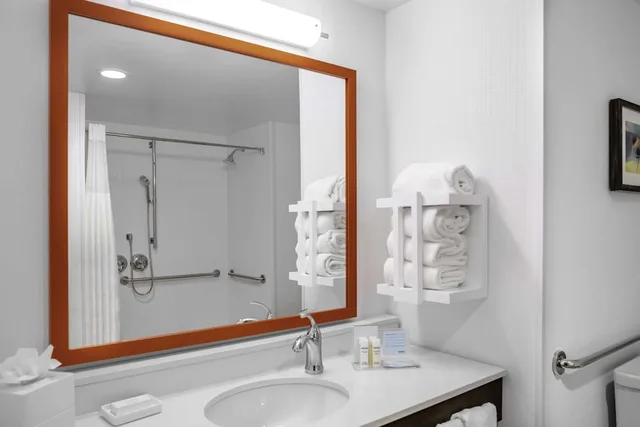جناح استوديو بسرير كينج مع أريكة، Hampton Inn & Suites Cedar Park North Austin, TX 3/3