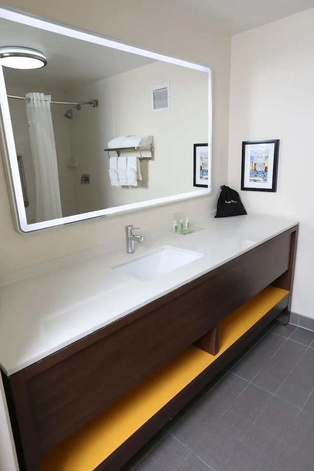جناح بسرير كينج، Holiday Inn & Suites Chicago North Shore (Skokie) 2/3