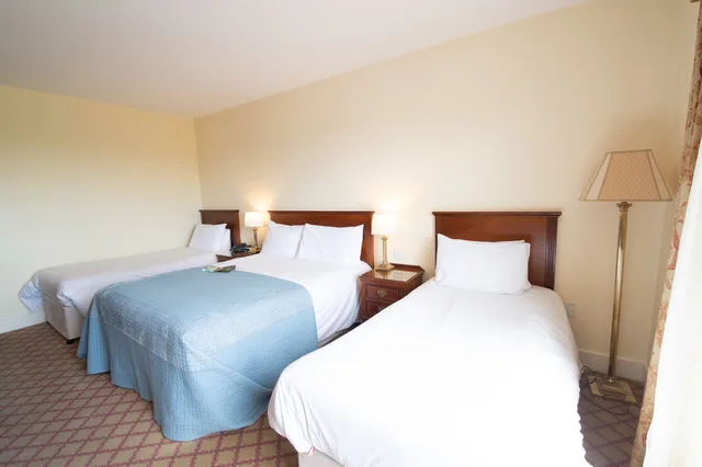 غرفة ثلاثية بثلاثة أسرّة، Abbey Hotel Roscommon 2/3
