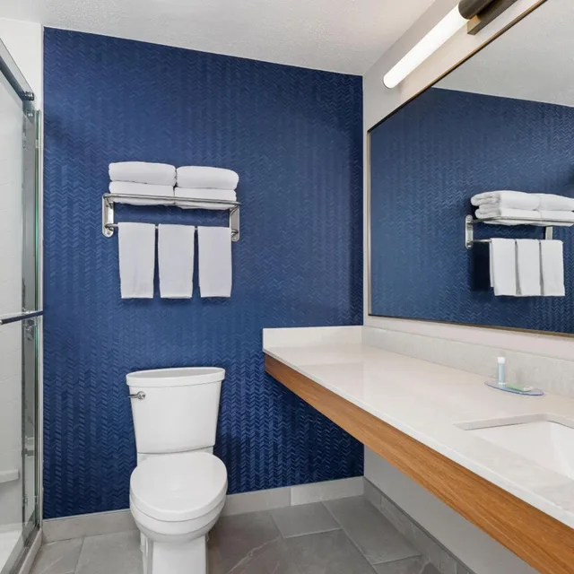 غرفة بسرير كينج بحوض استحمام لذوي الإعاقة، Fairfield Inn Suites By Marriott Minneapolis Burnsville 7/8