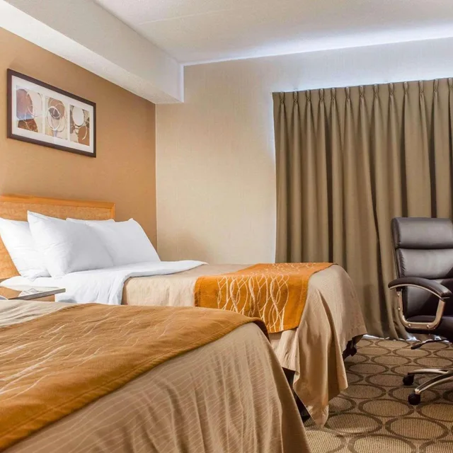 غرفة بسريرين مزدوجين في الطابق الأرضي، Comfort Inn Brantford 1/2