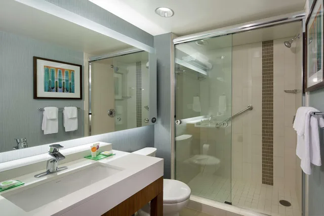 غرفة بسرير كينج مع أريكة، Hyatt Place Washington Dc Us Capitol 3/3