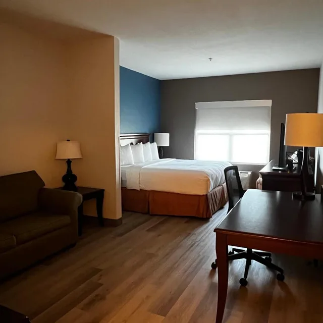 جناح بسرير كينج بغرفة نوم واحدة مع أريكة، Comfort Inn & Suites Concord (Kannapolis) 4/9