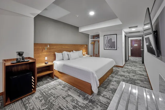 جناح ديلوكس بسرير كينج، Hilton Garden Inn Mexico City Polanco 1/4