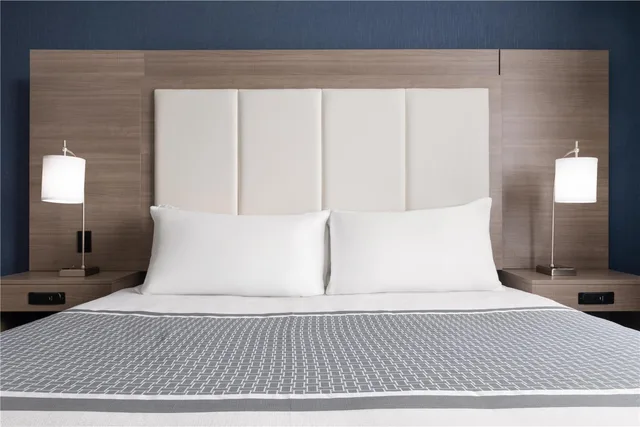 Room, King Bed, Sofa, Best Western Plus Gateway to the Falls 1/1