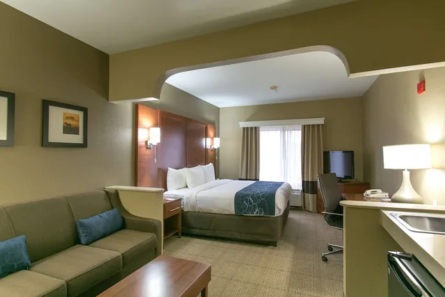 جناح بسرير كينج مع أريكة لذوي الإعاقة، Comfort Suites Austin NW Lakeline 2/3