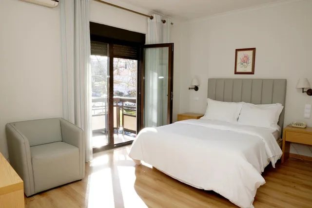 غرفة سوبيريور بسرير مزدوج، Hotel Ribadouro 2/10
