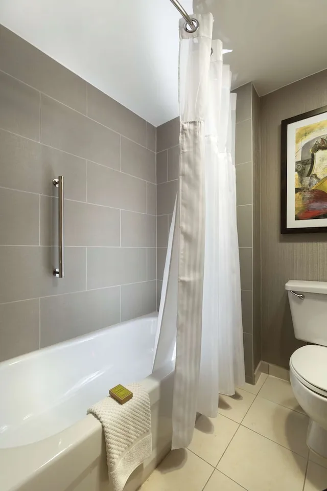 3 Rooms, City, Music, Suite, King Bed، Doubletree Suites By Hilton Nashville Airport 2/3