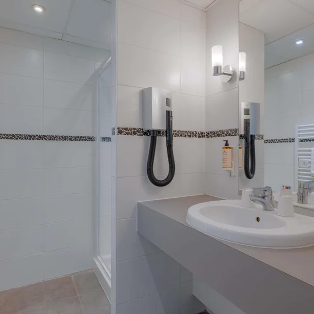 Apartment, Double Bed, Mercure Lyon Est Villefontaine 8/8