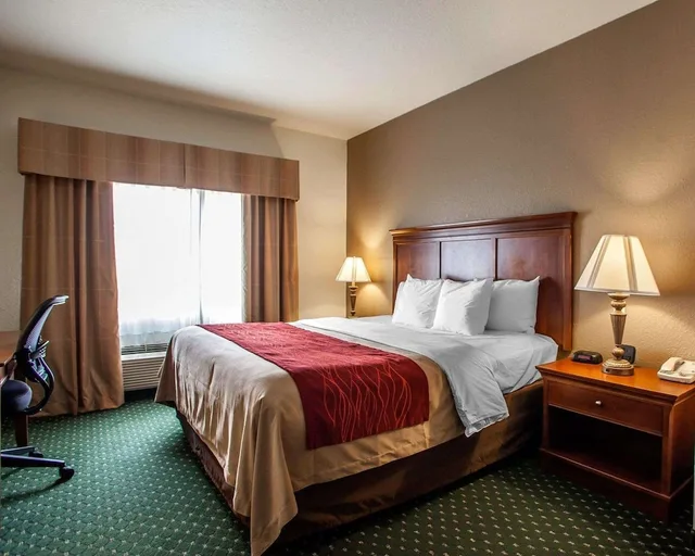 جناح بسرير كينج مع أريكة، Comfort Inn and Suites Davenport Quad Cities 6/7