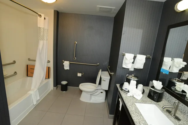 غرفة بسرير كينج لذوي الإعاقة، Hampton Inn And Suites Albany 4/4