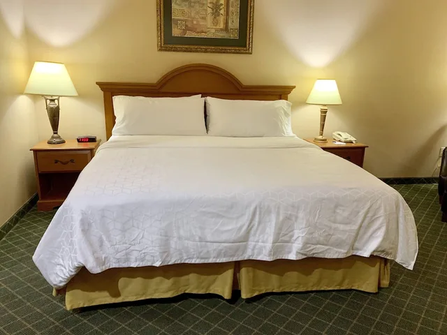 Standard, Queen Bed, Holiday Inn Express Hotel Suites Alice 5/10