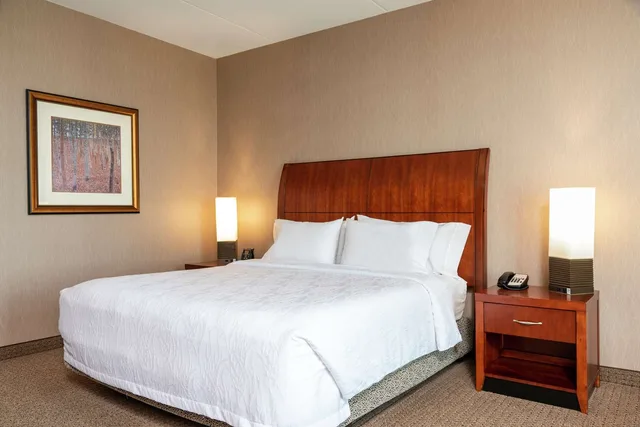 غرفة بريميوم بسرير كينج، Hilton Garden Inn Columbus Edinburgh In 2/3