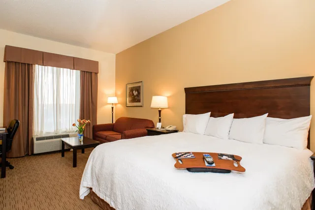 Suite, King Bed, Hampton Inn Victoria 1/7