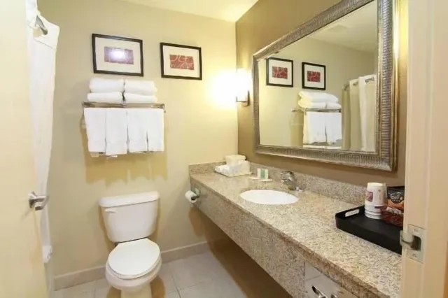 Suite, Accessible, Comfort Suites Omaha Northwest 4/8