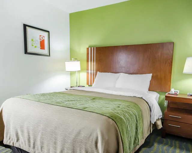 Standard, King Bed, Comfort Inn Shepherdsville - Louisville South 8/10