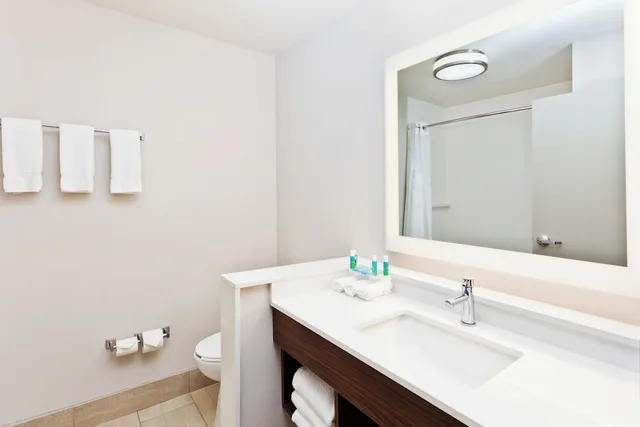 غرفة قياسية بسرير كينج لذوي الإعاقة، Holiday Inn Express And Suites Cartersville 3/4