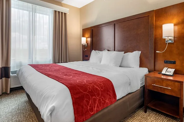 جناح بسرير كينج لذوي الإعاقة، Comfort Suites Columbus Airport 1/1