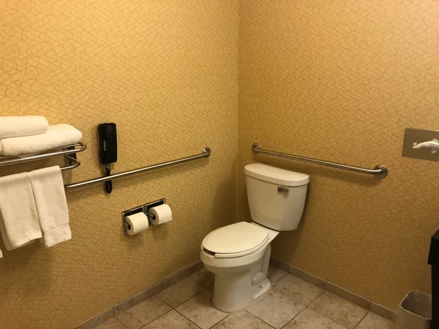 جناح بسرير كينج لذوي الإعاقة، Holiday Inn Express Hotel And Suites Lansing Dimondale 2/2