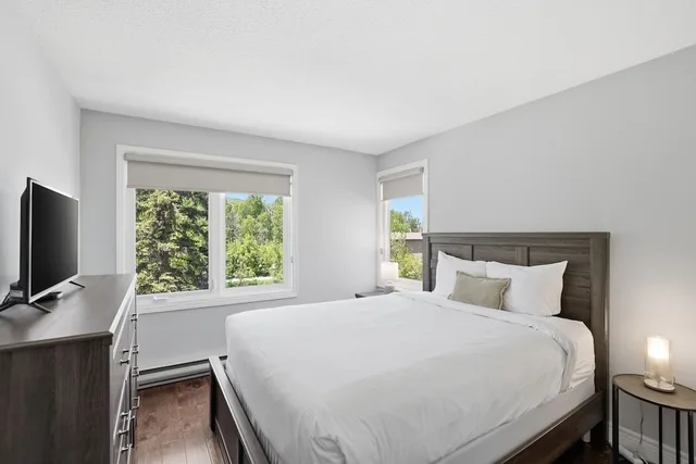 Green, King and Queen and Twin Beds, Pet Friendly، The Lodges At Blue Mountain Wintergreen Condos 5/10