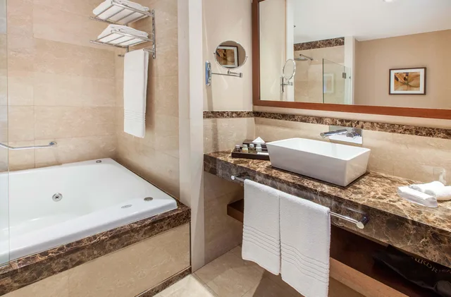 جناح بريميوم بسرير مزدوج، Wyndham Nordelta Tigre Buenos Aires 4/4