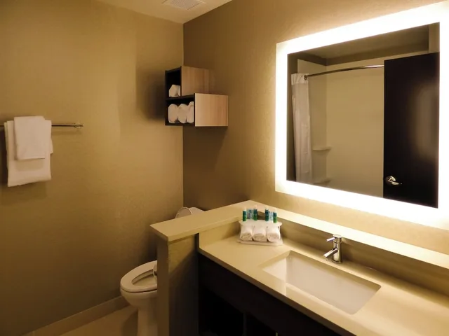 غرفة قياسية بسرير كينج، Holiday Inn Express And Suites Plymouth Ann Arbor Area 4/6