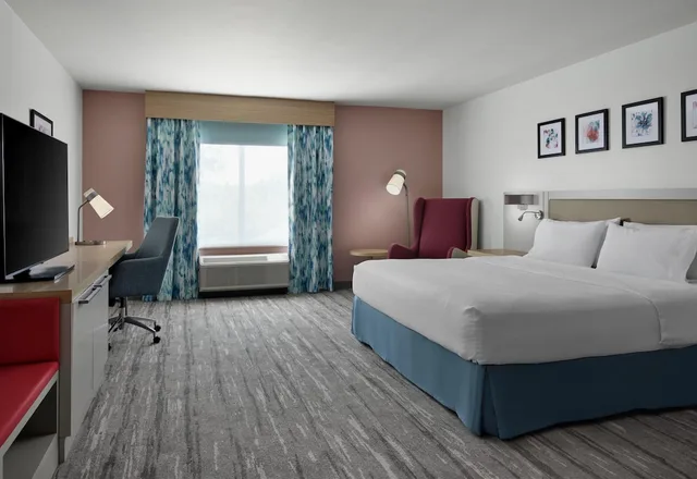 جناح بسرير كينج بغرفة نوم واحدة لذوي الإعاقة، Hilton Garden Inn Tampa East Brandon 1/9
