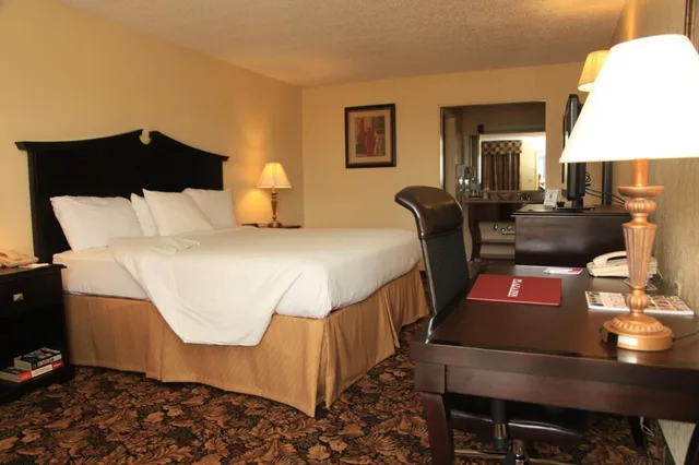 Standard, King Bed, Plaza Inn 1/2