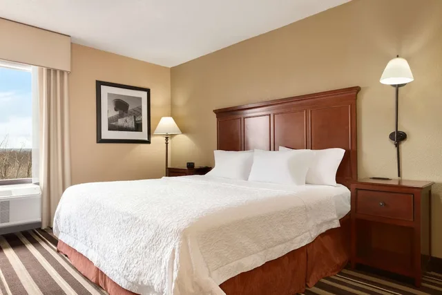 استوديو بسرير كينج مع أريكة، Hampton Inn Washington-Dulles Intl Airport South 4/10