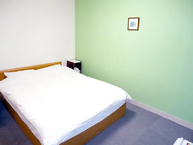 غرفة بسرير مزدوج، Shin-Okubo City Hotel 1/4