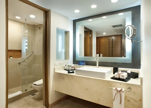 Swim Up, Deluxe, Ocean View، Grand Park Royal Cancun All Inclusive 2/2