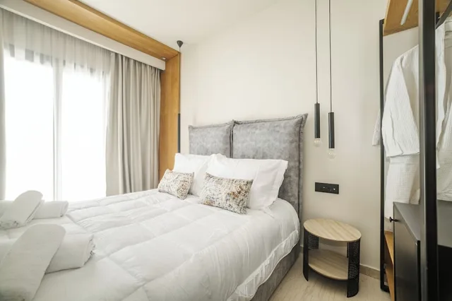 غرفة سوبيريور بسرير كوين، Nikon Boutique Hotel 1/10
