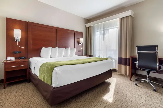 Suite, King Bed, Accessible, Comfort Suites Omaha East-Council Bluffs 3/4