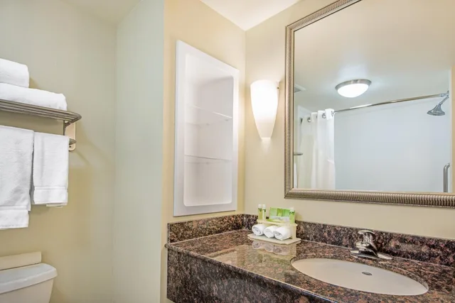 Xtra Space, Standard, King Bed، Holiday Inn Express Suites Clute Lake Jackson 1/3